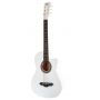 Vestern gitara Belucci BC3810 VH