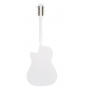 Vestern gitara Belucci BC3810 VH