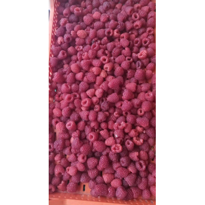 Raspberry,  1kg