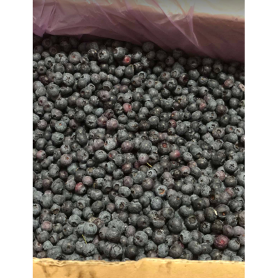 Suma blueberry, 1kg