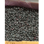 Suma blueberry, 1kg