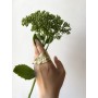 Ring Spirea Leaf for two fingers